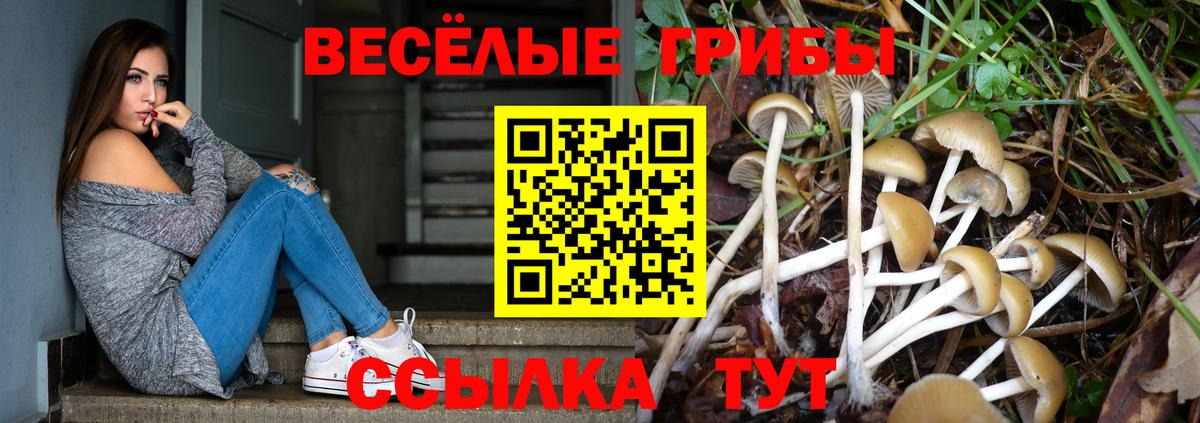 Нижневартовск  Псилоцибиновые грибы Magic Shrooms  где найти наркотики  Вход с VPN  Галлюциногенные грибы Psilocybine cubensis 
